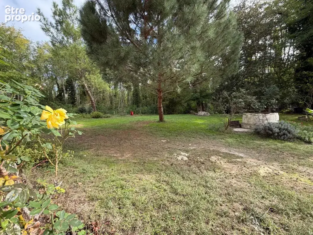 Maison À Vendre - photo 5