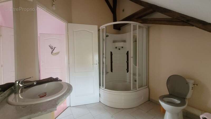 Maison à LE GRAND-PRESSIGNY