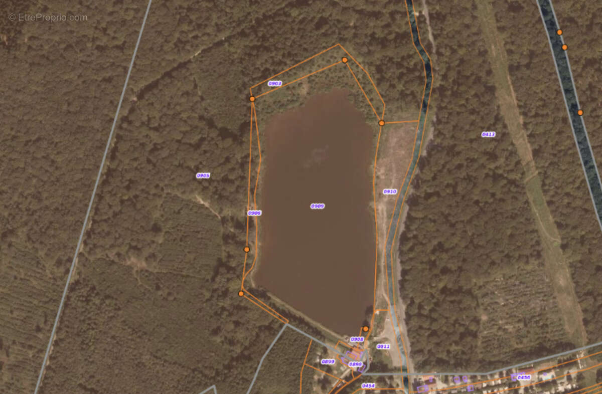 Vente superbe étang d'env 4,5 ha en eau sur un terrain total de 7,38 ha LEVAL (90) - photo 18