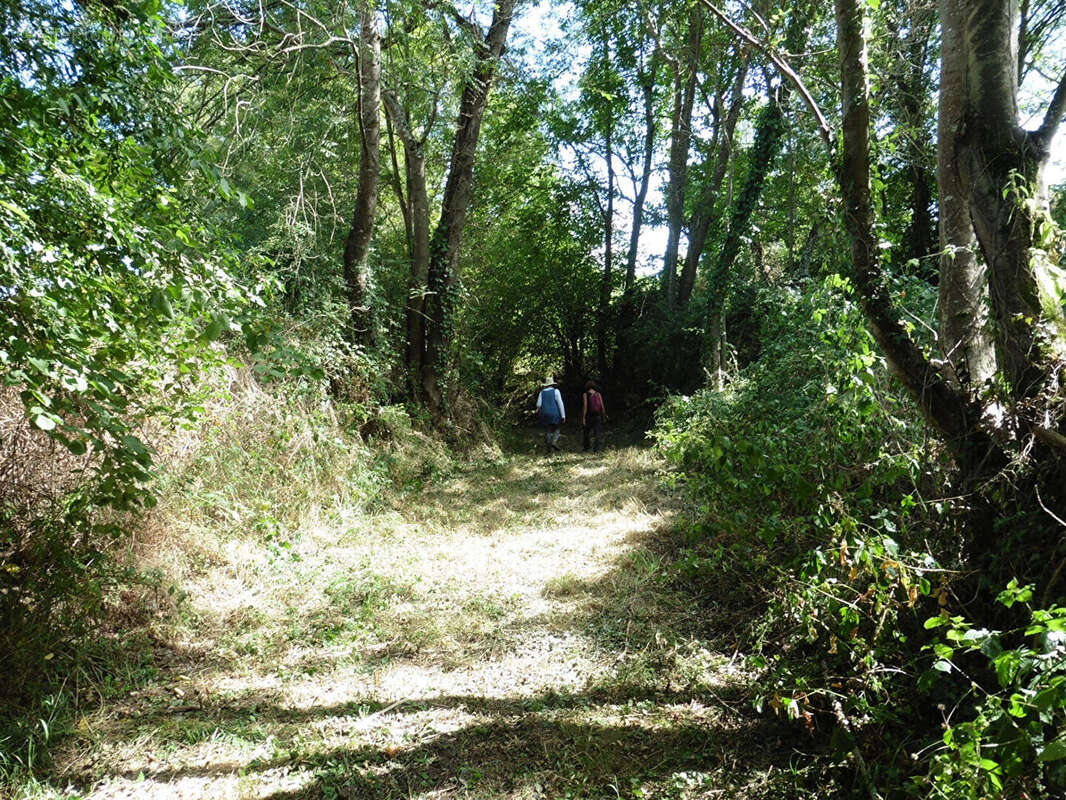 Ancien Moulin sur 5 hectares - photo 14