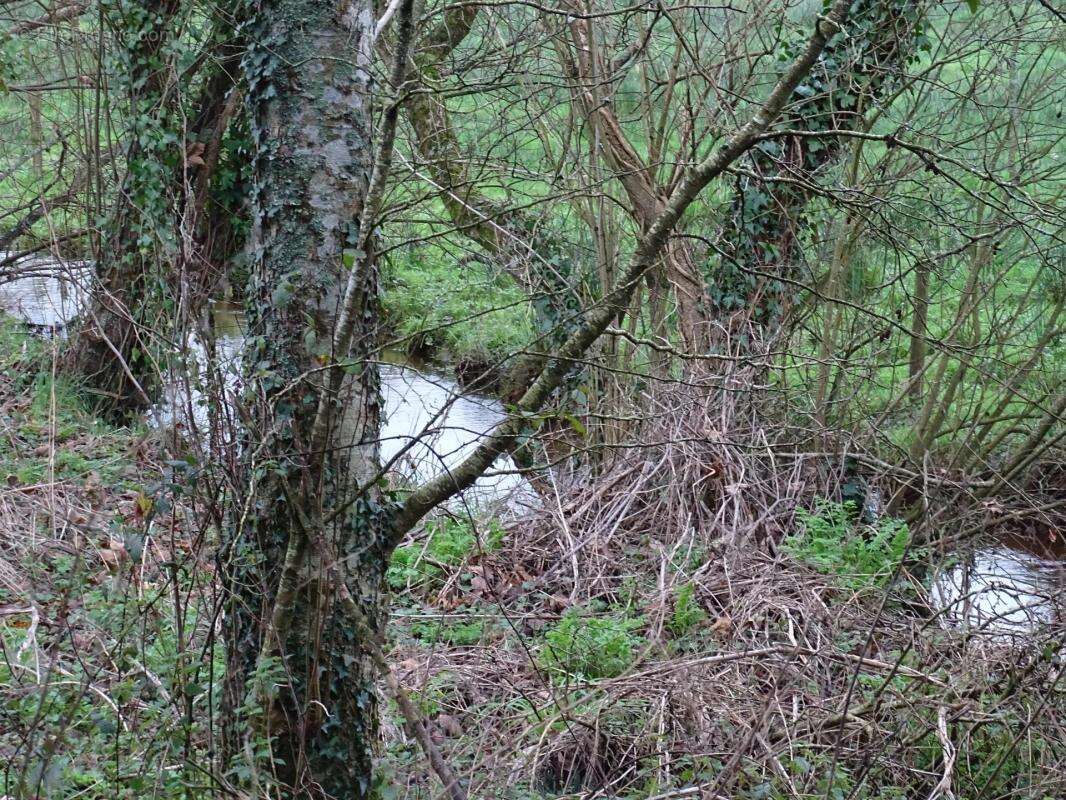 Terrain à GOUESNOU