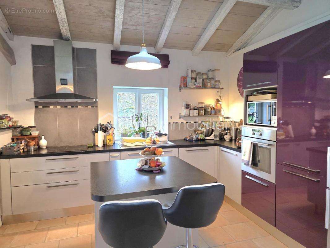Maison en pierre + gite - etang- 2 piscines- parcelle 8745 m² -st pierre de clairac - photo 14