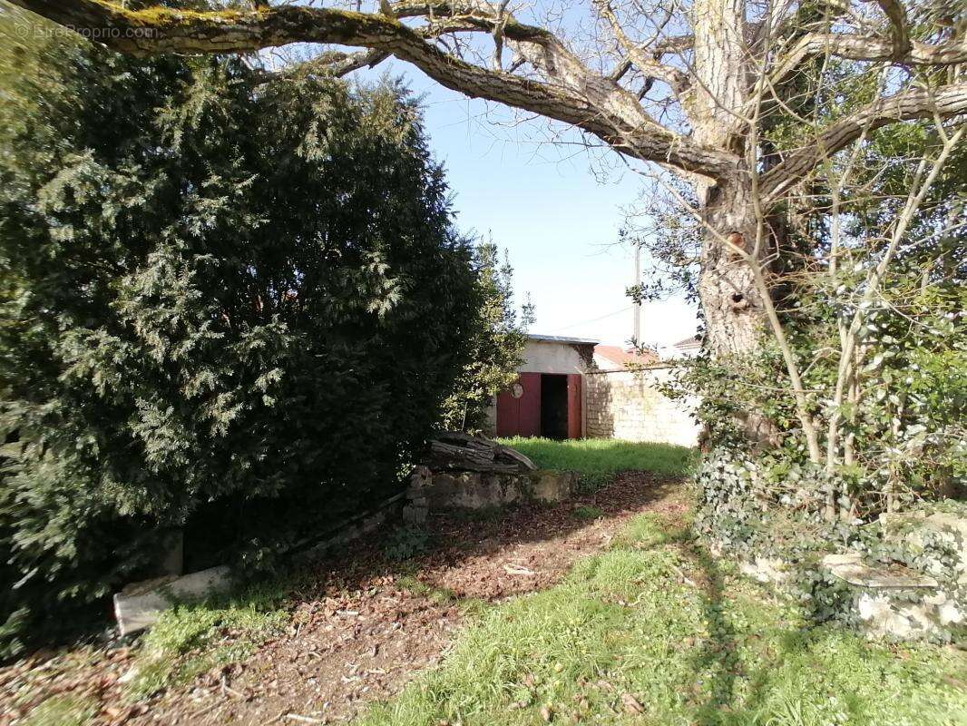 Terrain à BUXEROLLES