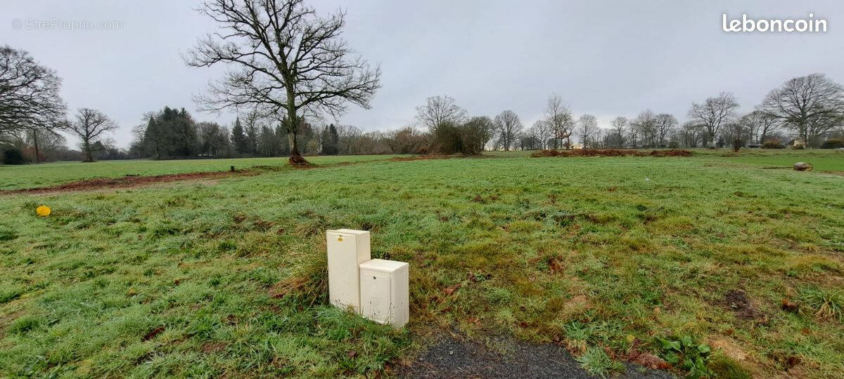 Terrain à MECE