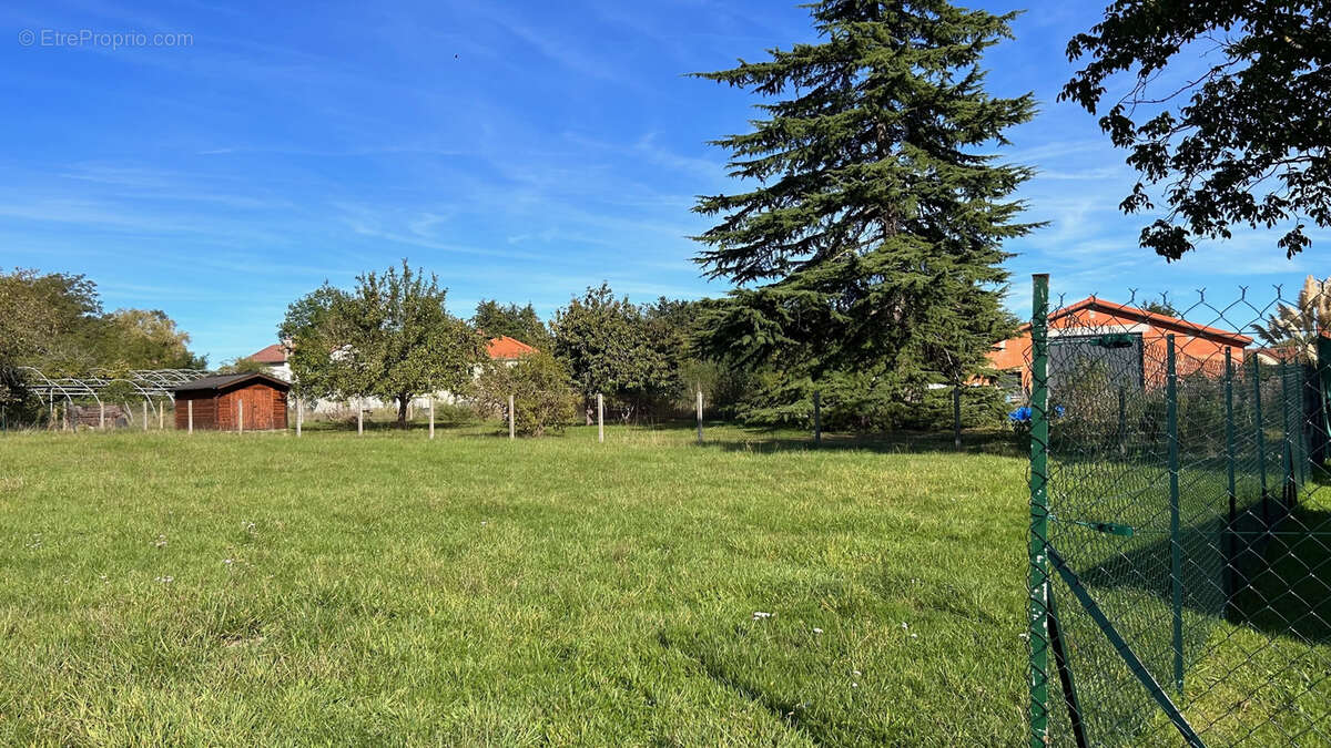 Terrain à LEZOUX