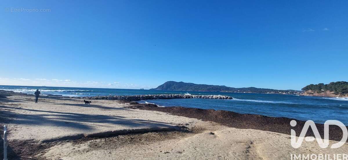 Photo 8 - Appartement à SAINT-MANDRIER-SUR-MER