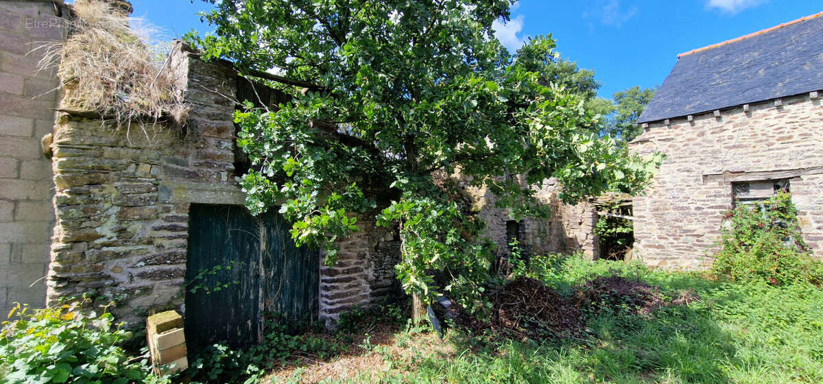 Maison à MAURON