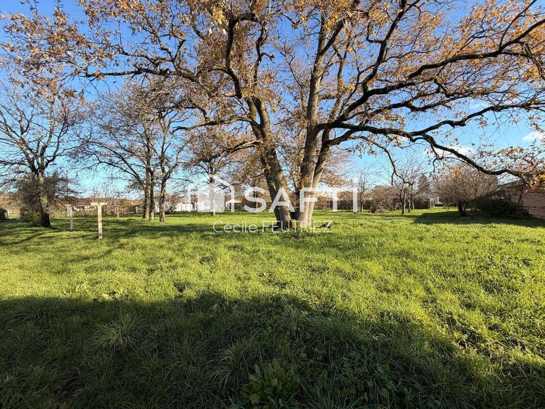 Photo 5 - Maison à LE PIZOU