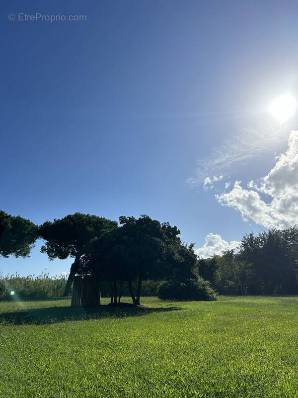 Appartement à SANTA-LUCIA-DI-MORIANI