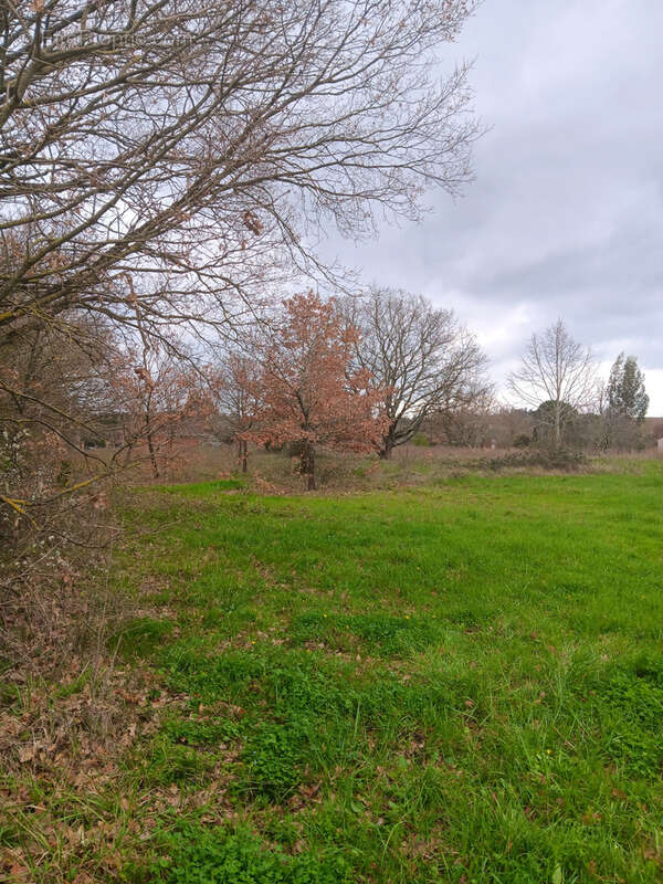 Terrain à LASSERRE