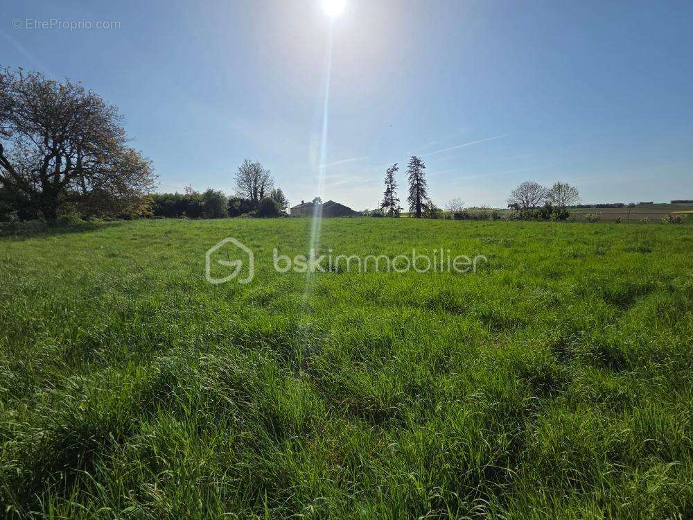 Terrain 1350m2 - photo 3