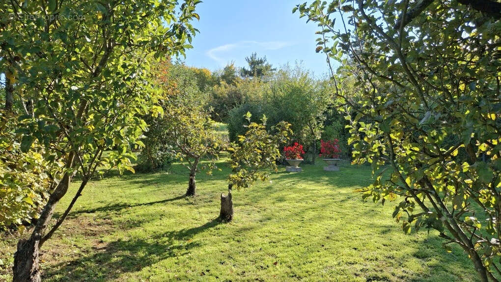 Maison au calme avec grand terrain et beau potentiel - photo 16