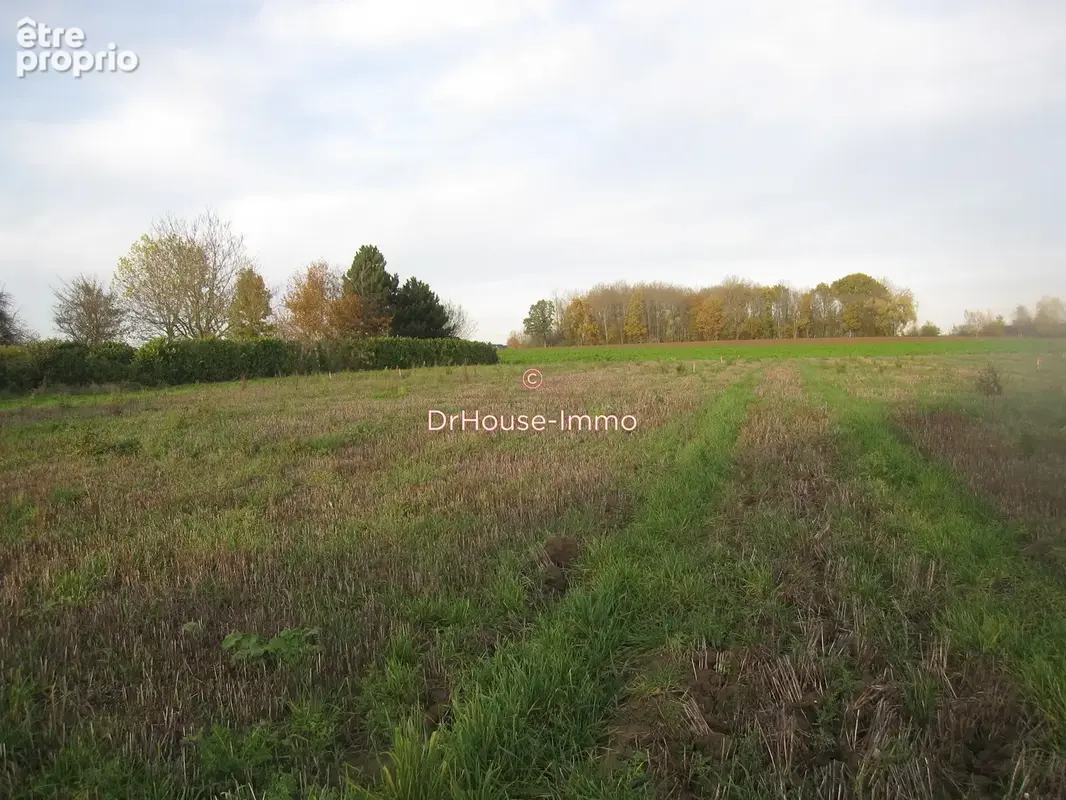 Terrain 1 950 m² à vendre à Bersee (59235) - photo 6