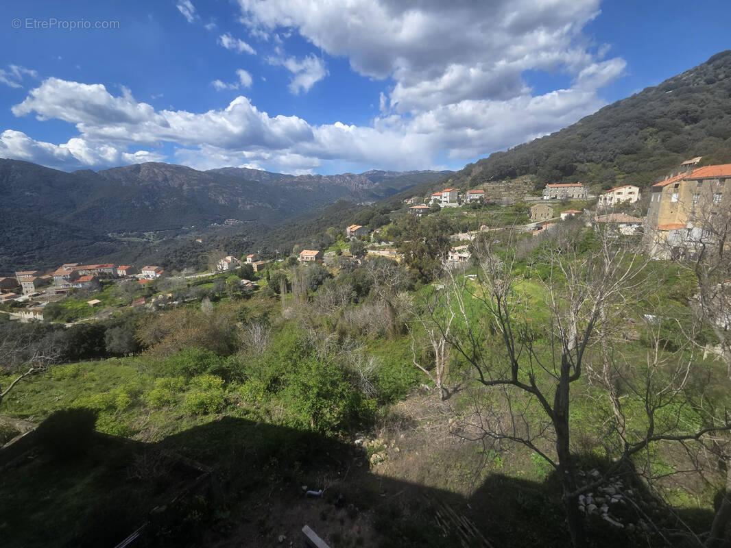 Appartement à SAINTE-LUCIE-DE-TALLANO