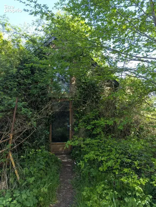 Maison , terrain 5 200m² - photo 7