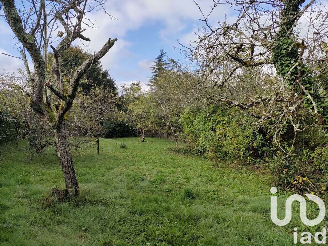 Photo 5 - Terrain à LIMOGES