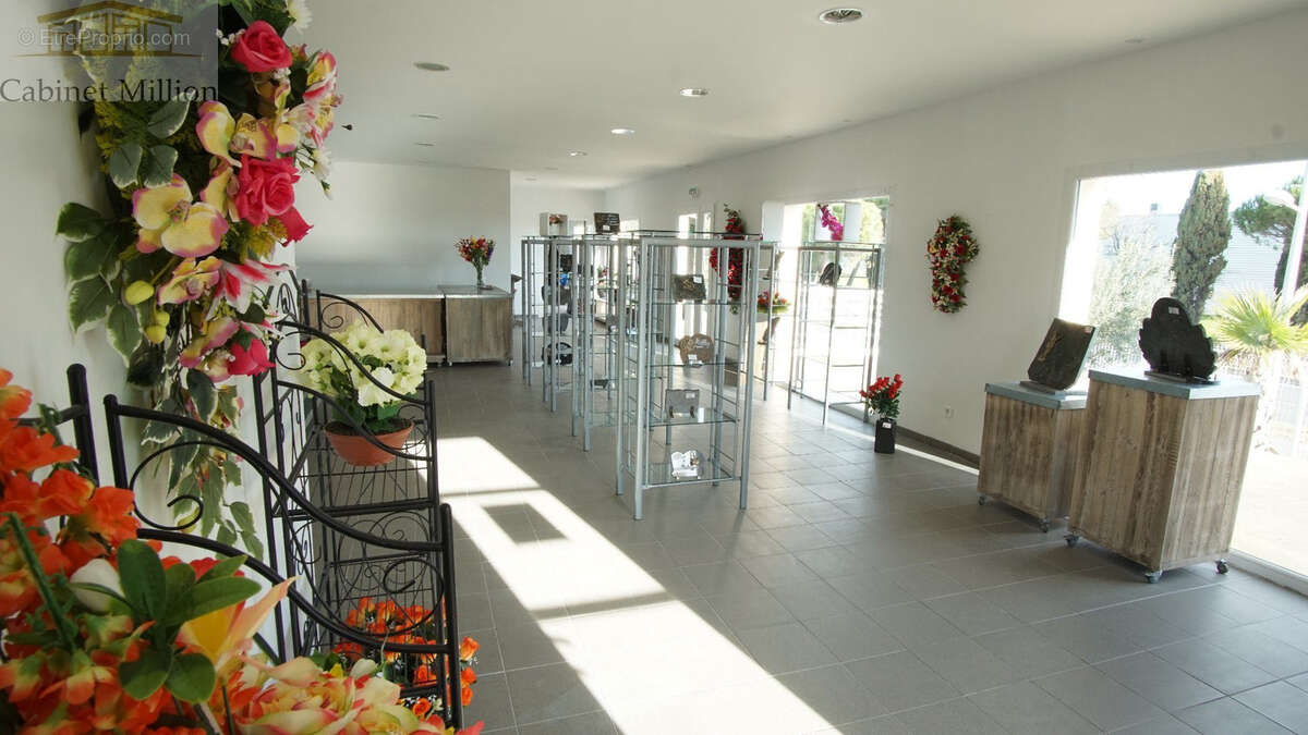 Appartement à FRONTIGNAN