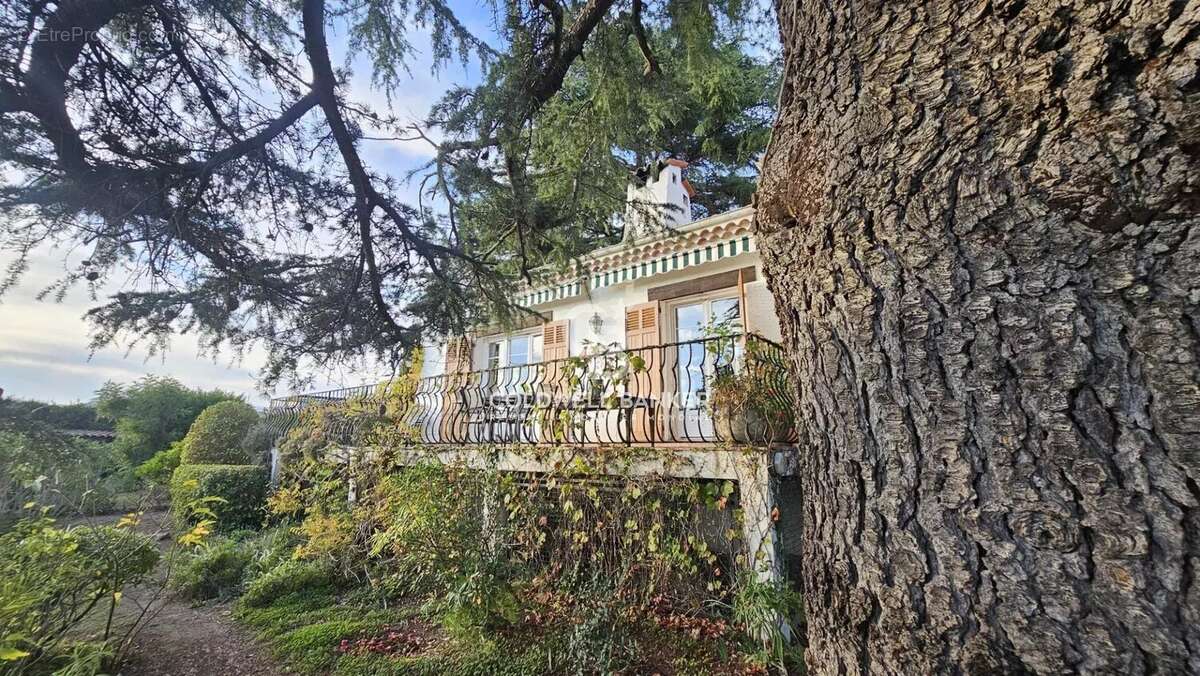 Maison à CANNES
