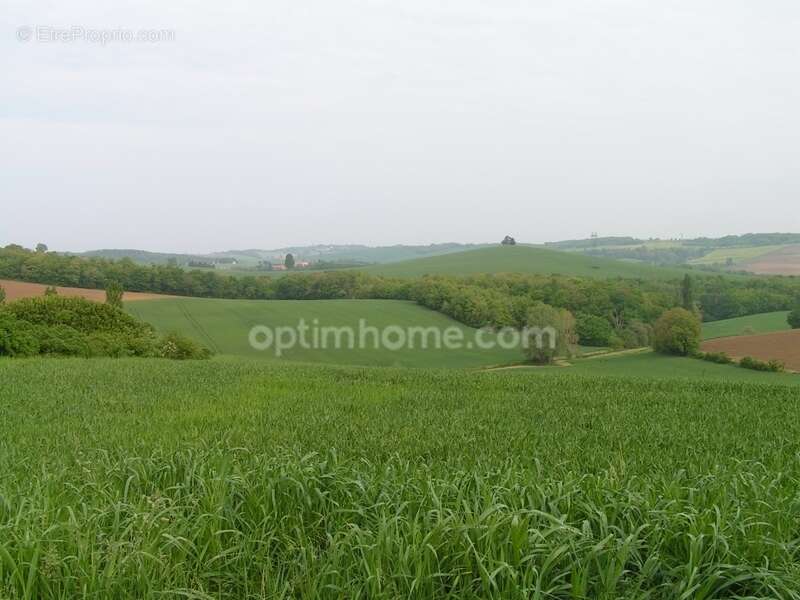 Terrain 2500 m² - photo 3