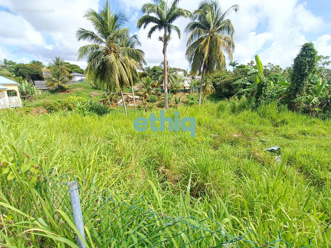 Terrain à PETIT-BOURG