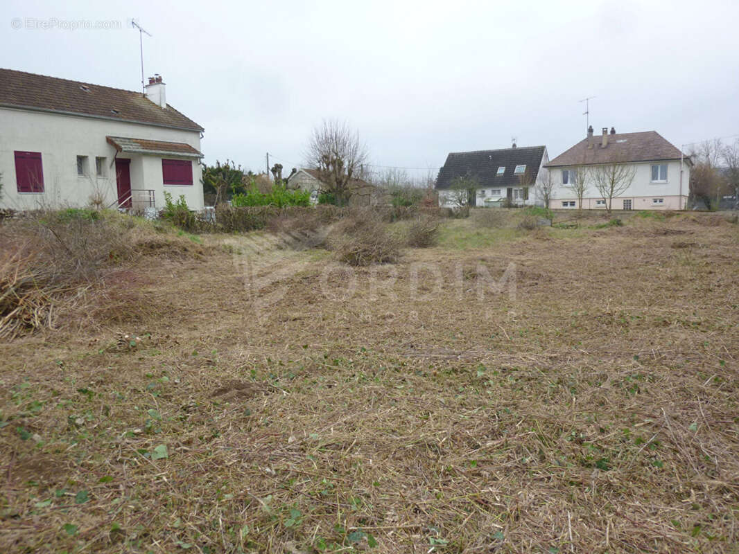 Terrain à CHAMPS-SUR-YONNE
