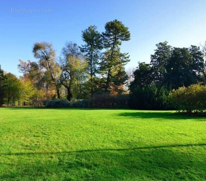 Terrain à MONTAUBAN