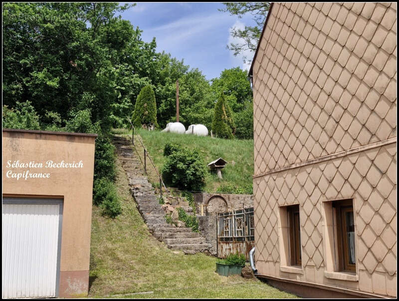 Maison à vendre 8 pièces BREIDENBACH (57) - photo 12