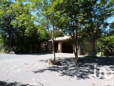 Photo 7 - Maison à SIGEAN