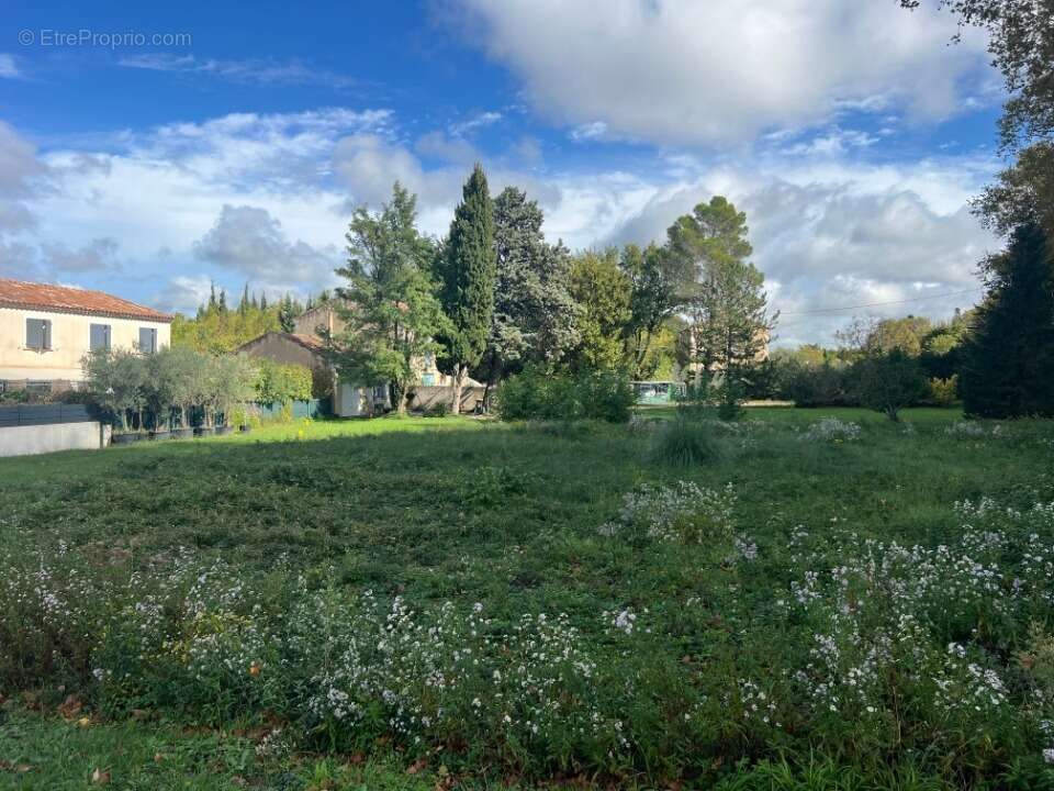 Terrain à SAINT-REMY-DE-PROVENCE