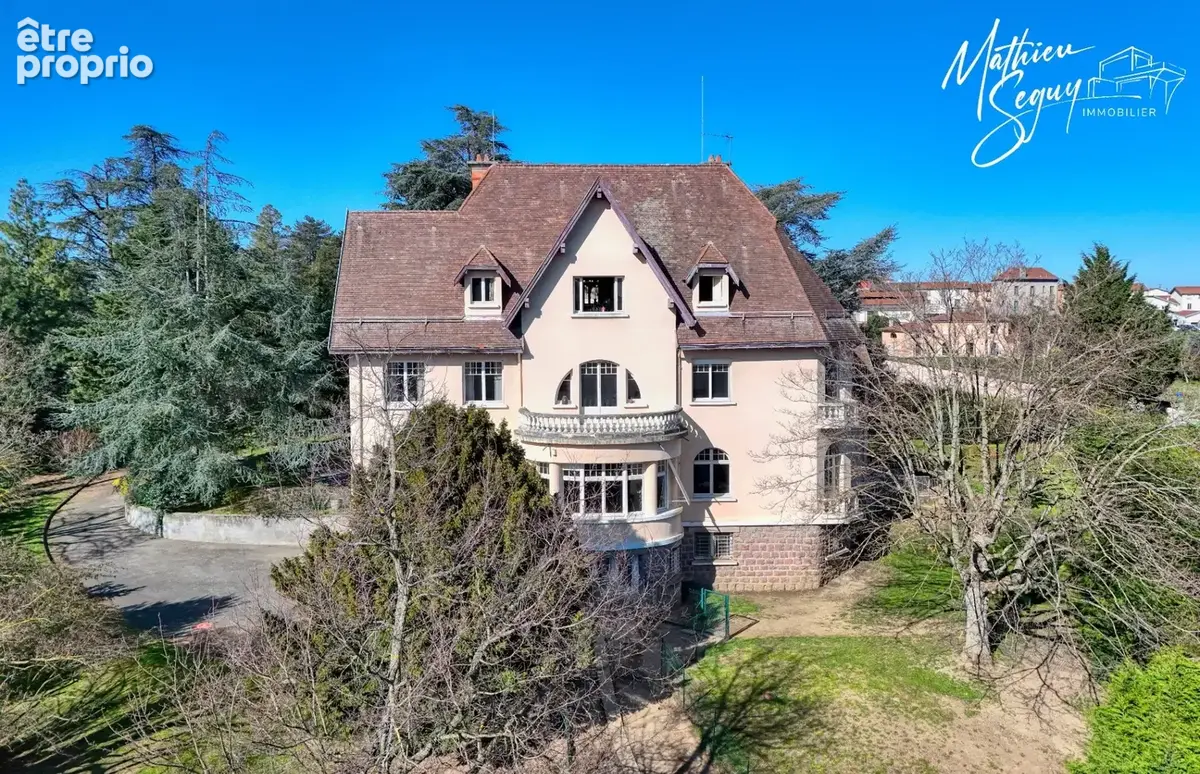 CHAZELLES SUR LYON - Propriété de Prestige - photo 31