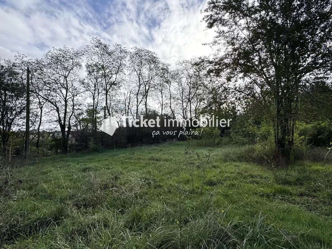 Terrain à AUZIELLE