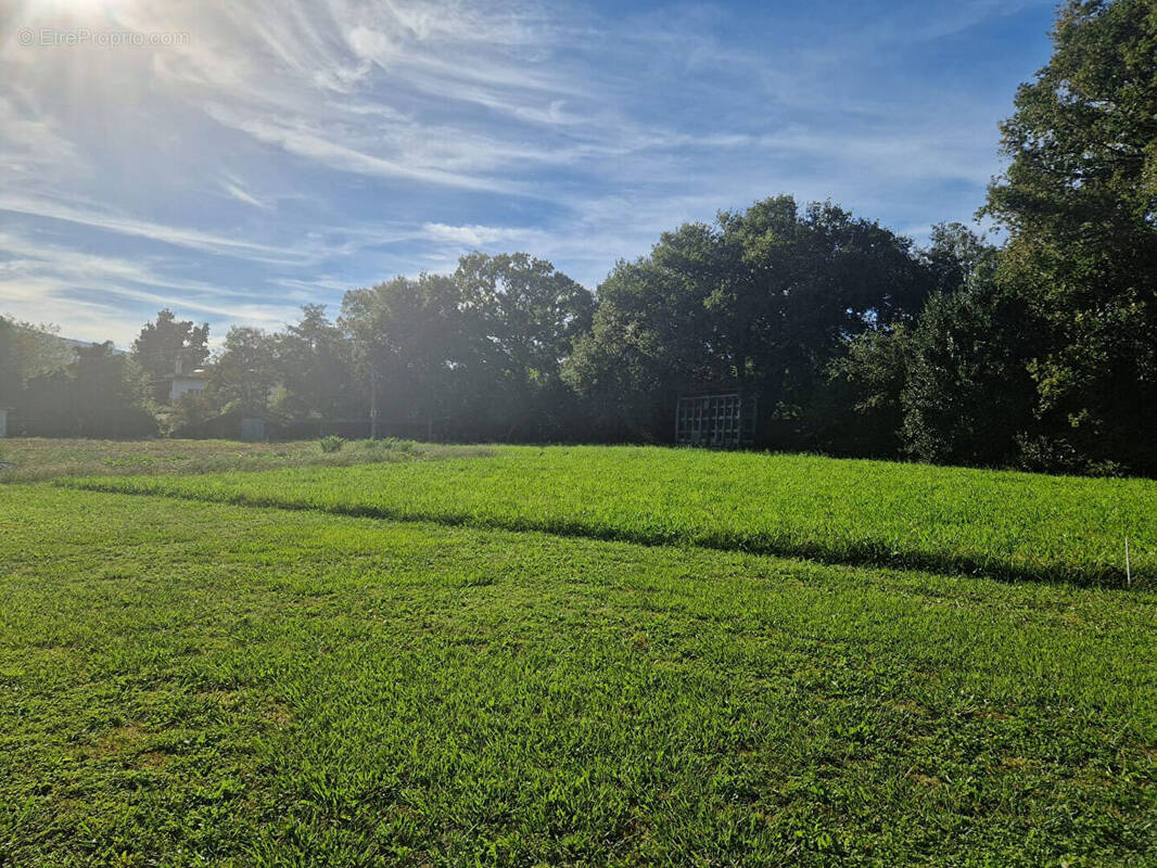 Terrain à URRUGNE