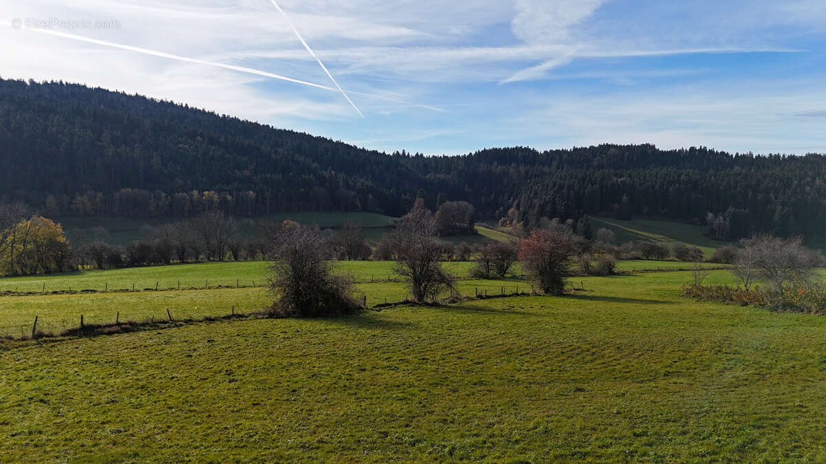 Terrain à FOURNETS-LUISANS