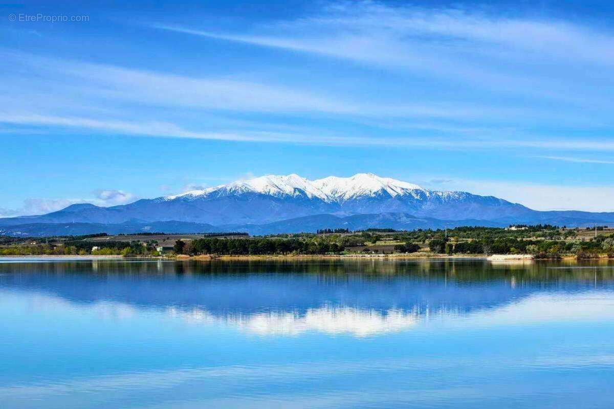 Commerce à VILLENEUVE-DE-LA-RAHO