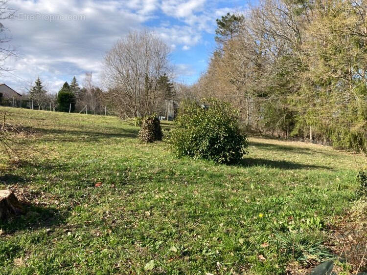 Terrain à CHATEAU-L&#039;EVEQUE