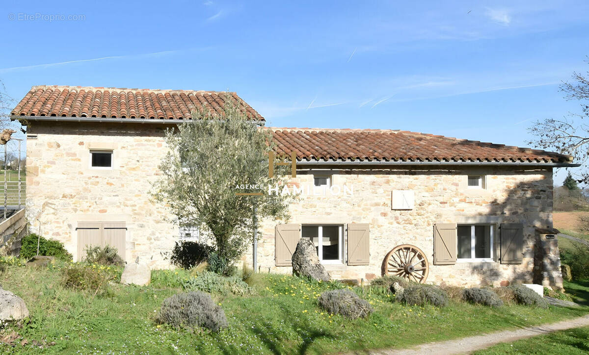 Maison à CORDES-SUR-CIEL