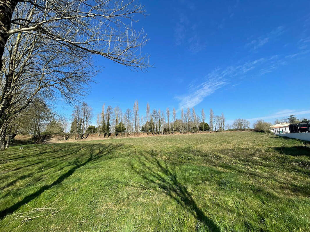 Terrain à LA MOTHE-ACHARD