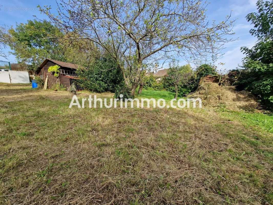 Terrain à THORIGNY-SUR-MARNE