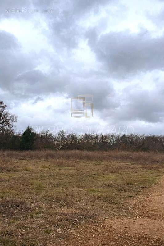 Terrain à MARTIGNARGUES