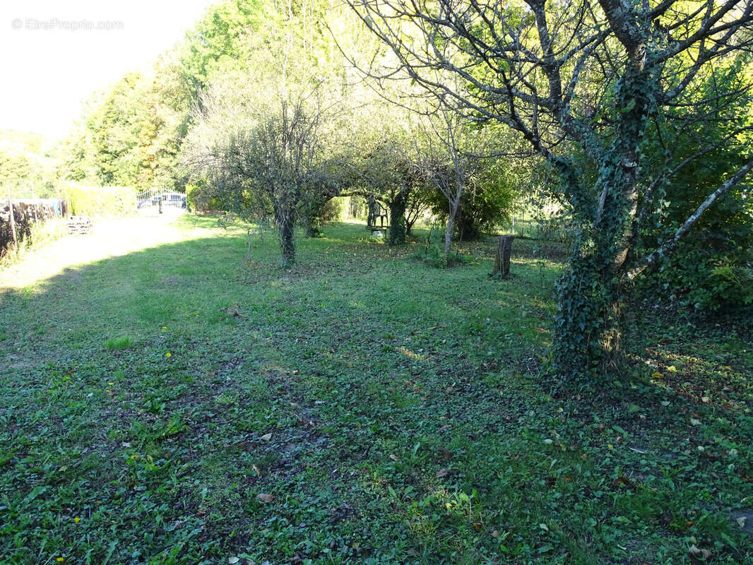 Maison à MUSSY-SUR-SEINE