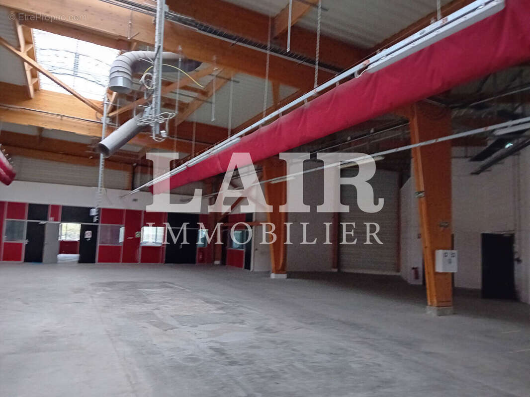 Commerce à BERD&#039;HUIS