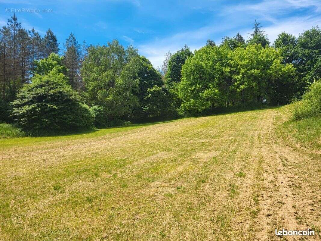 Terrain à SORGES