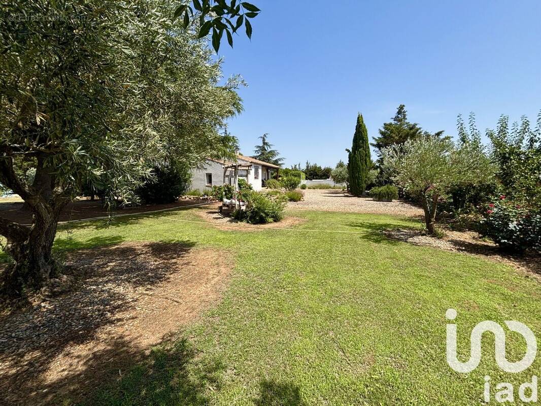 Photo 1 - Maison à ORNAISONS