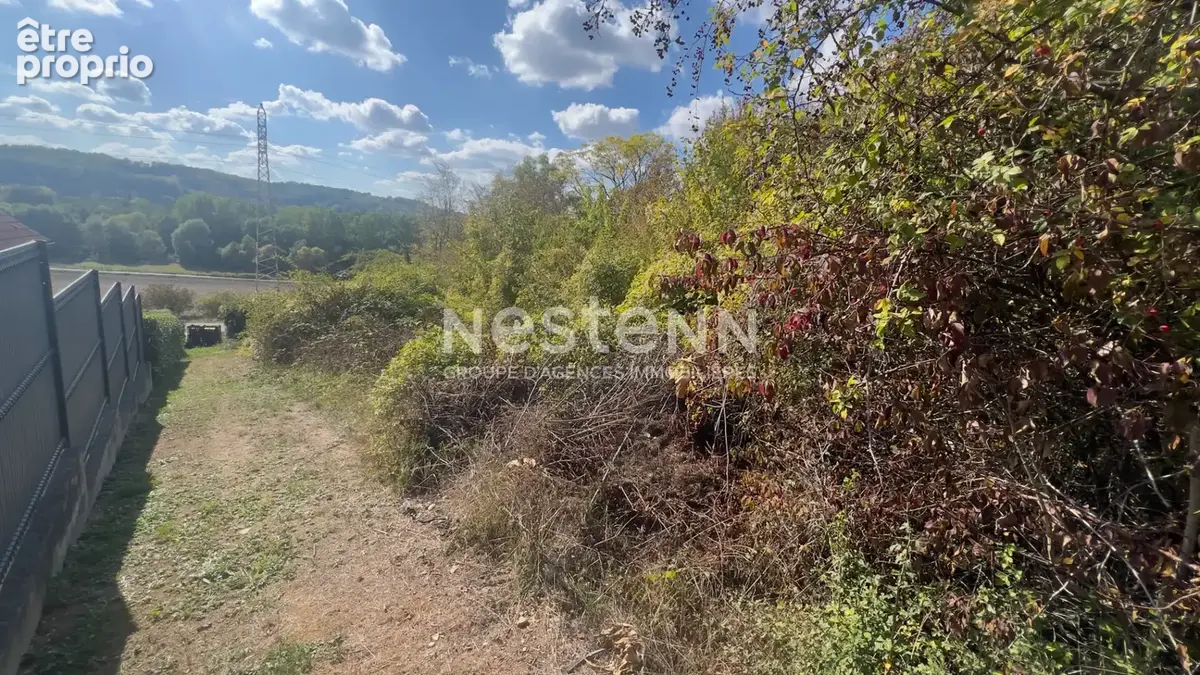 BAR-LE-DUC terrain de loisirs de 2915m² avec maisonnettes de 4 m² et 9 m² - photo 6