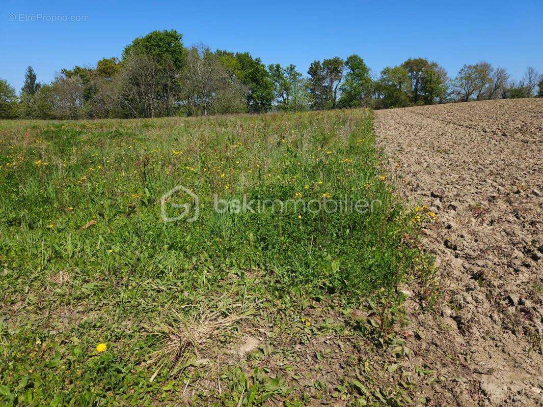 Terrain constructible a saisir - photo 3