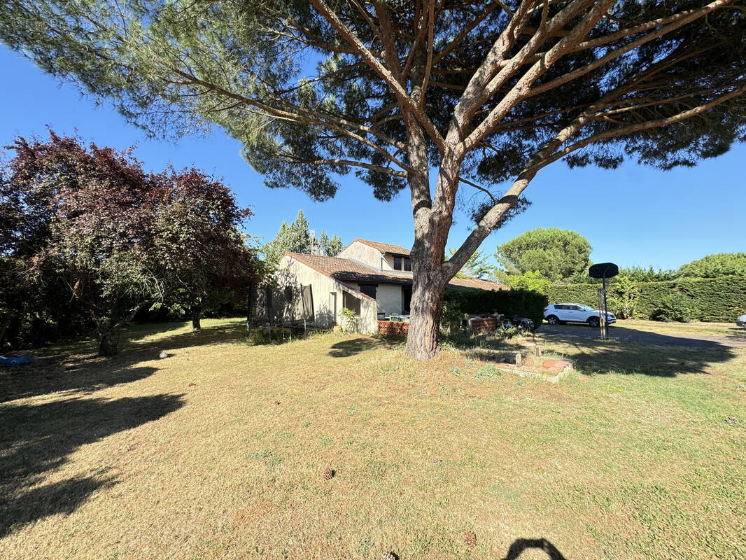 Maison à FROUZINS