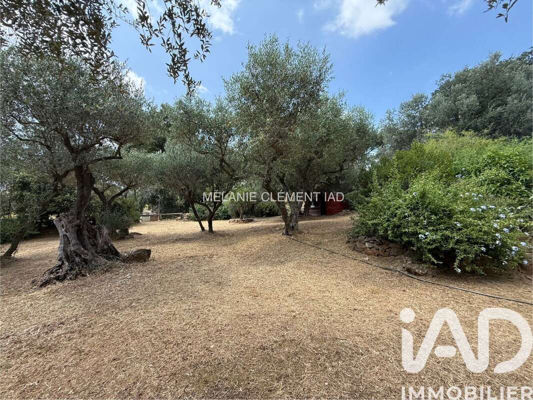 Photo 8 - Appartement à SANARY-SUR-MER