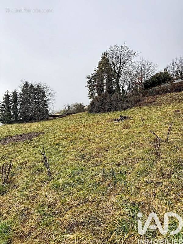 Photo 1 - Terrain à LANCRANS