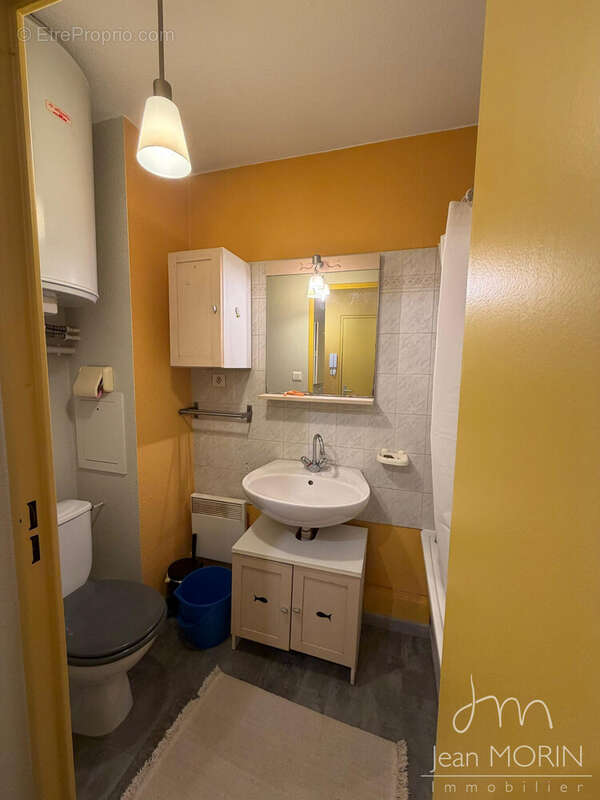 SALLE DE BAIN AVEC WC - Appartement à LYON-8E
