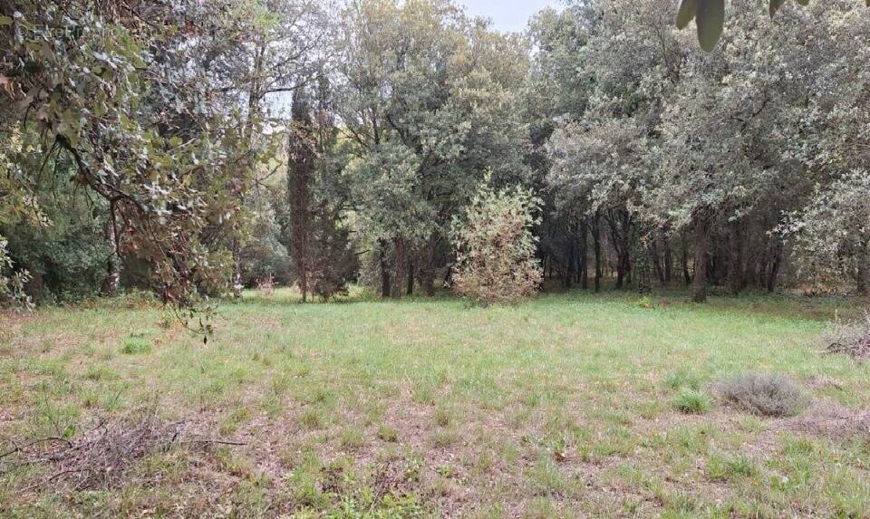 Terrain à RAISSAC-SUR-LAMPY